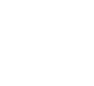 95  100  certified logo footer